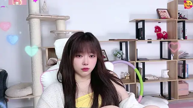 SakuraCat6 webcam