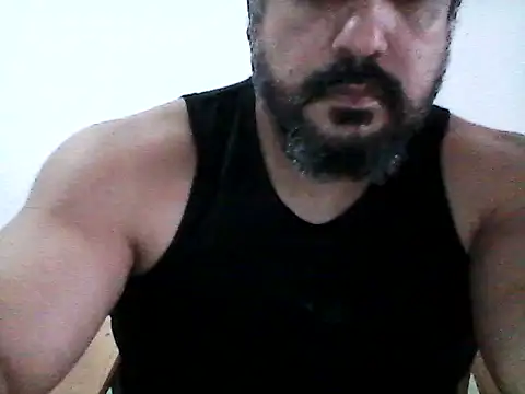 stallony webcam