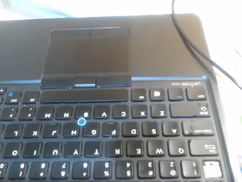 Sexxy-skinny webcam