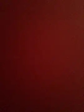 Ankadroll webcam