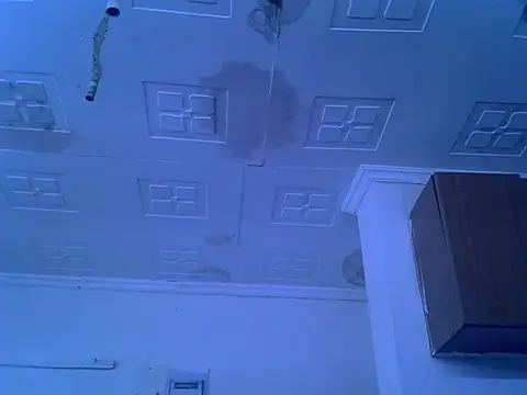Thee_Biggest webcam