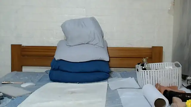 awild_kitten webcam