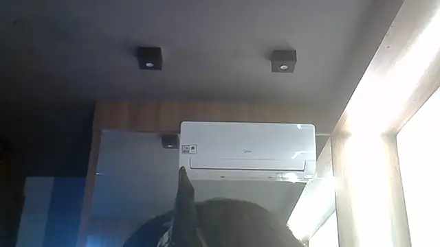 SkinnyKitten webcam