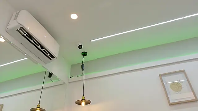 AlmaRose_ webcam