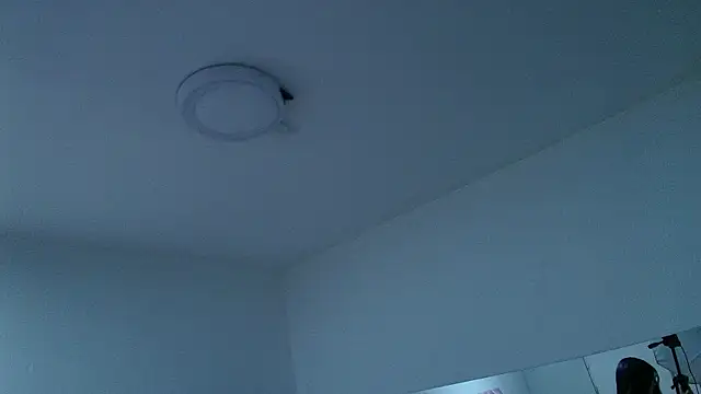 NikyBrookss webcam