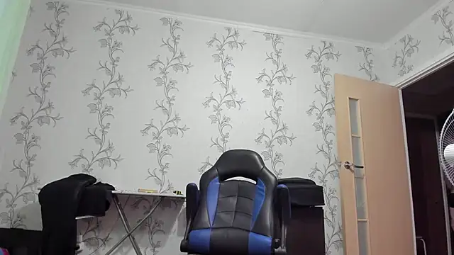 SanFrantsisko webcam