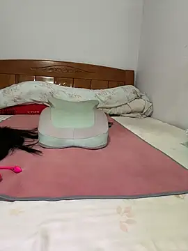 liqinqin-5201 webcam