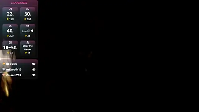 _MiLa_Dyva webcam