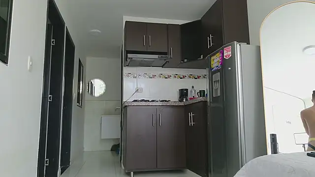 grey___27 webcam
