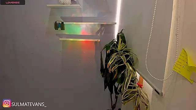 _sulmatevans_'s live room