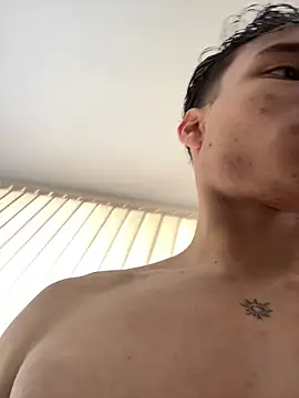 NelModel1 webcam