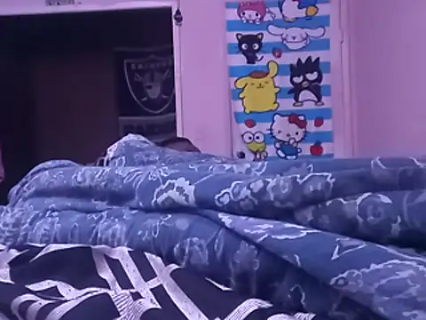 Blkstylion webcam