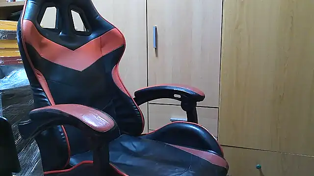 Javier_bear webcam
