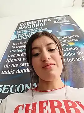 SALOME-28_ webcam