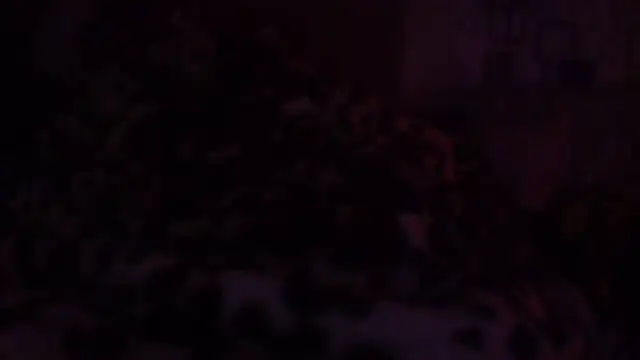 bialoba7 webcam