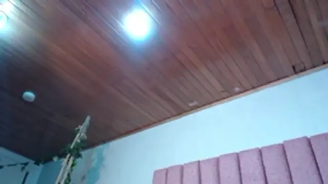 SaraLjordad webcam