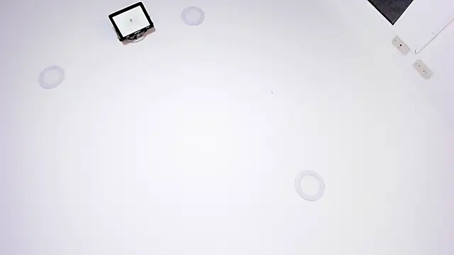 lysbani webcam