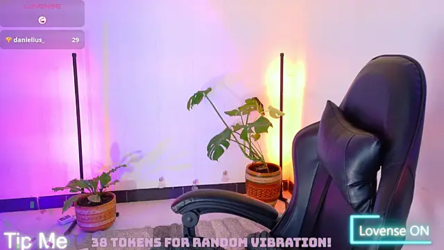 Sarasavage webcam