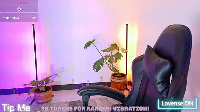 Sarasavage webcam