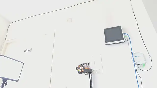 grey___27 webcam