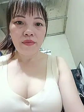 Sana-vn webcam