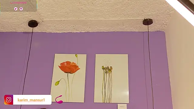 Karim_mansur webcam