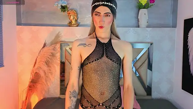 dominic_thailor webcam