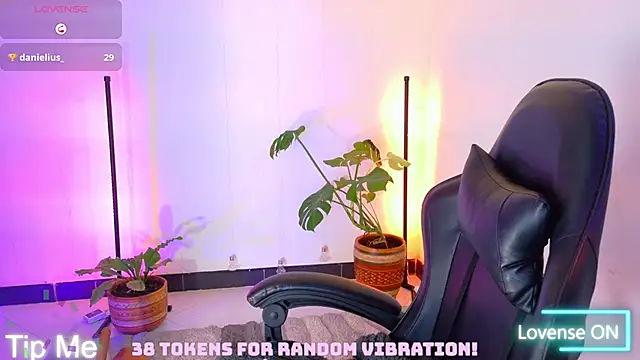 Sarasavage webcam