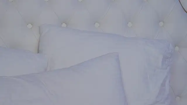 JaneBrock webcam