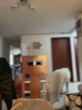 Carola-Ross webcam