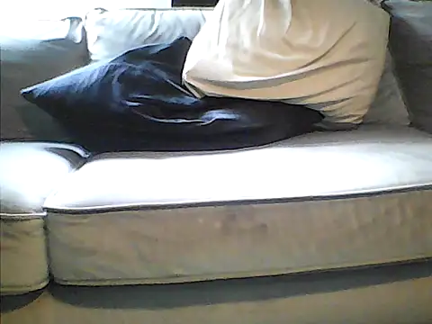 perlados webcam