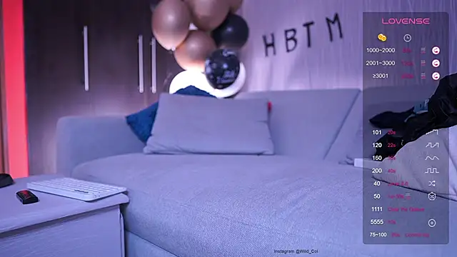 wild_col_ webcam