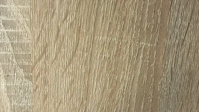 NoFace_Model webcam
