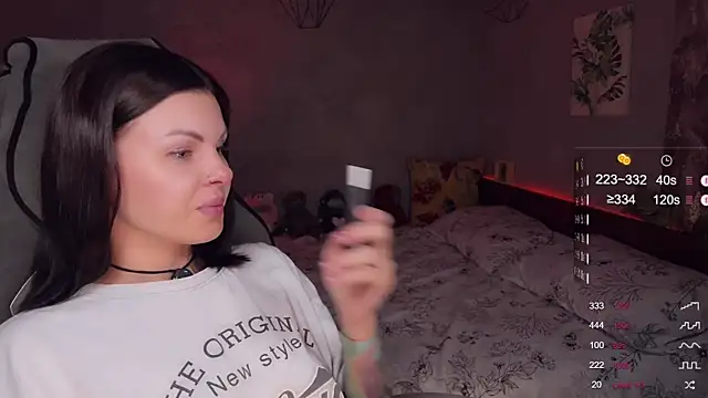 Alaska_ya webcam