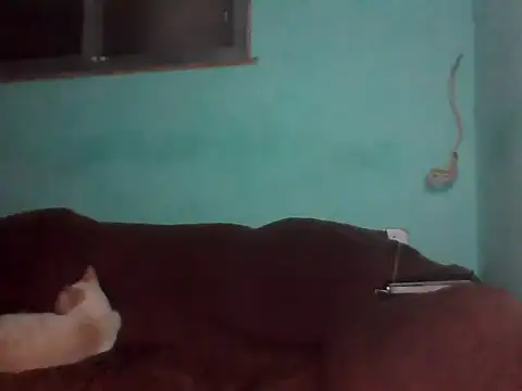 Nicolledelicia69 live cam on StripChat