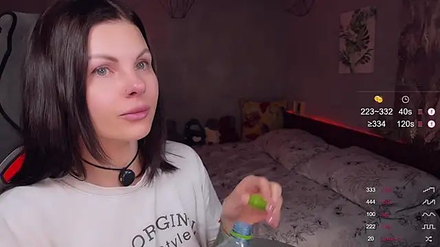 Alaska_ya webcam