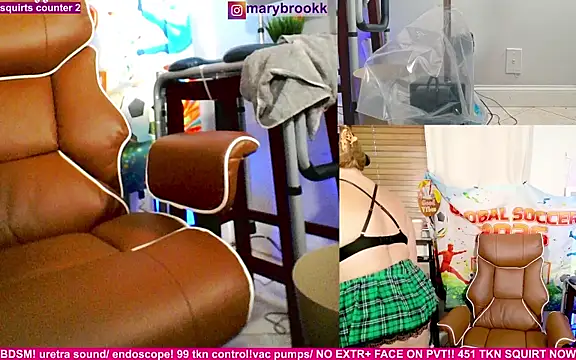 MaryBrook1 webcam