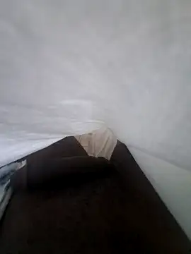 RovingAlcove webcam