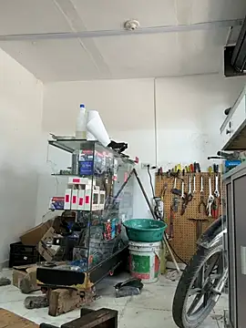 Paul22cm- webcam