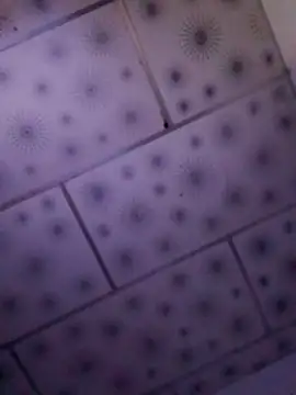 exotica_7 webcam