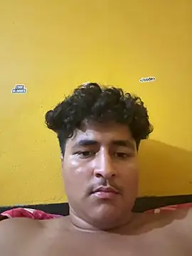 cannonWithMuscles webcam