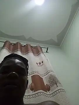 mem254 webcam