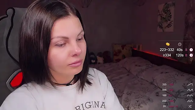 Alaska_ya webcam
