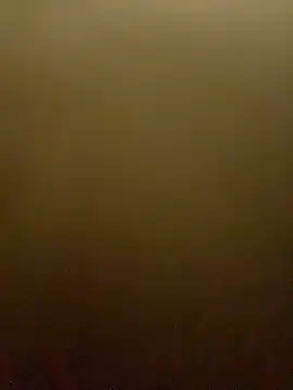 cotton_07 webcam