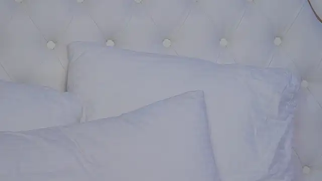 JaneBrock webcam