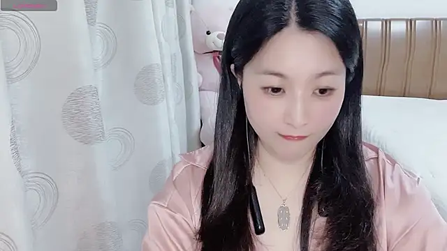 D-Misslu webcam