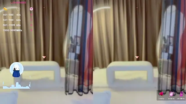 Vaidurya-Yolo webcam