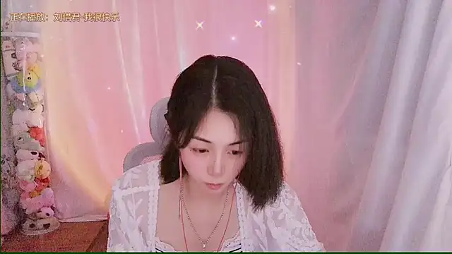 Puresnow webcam