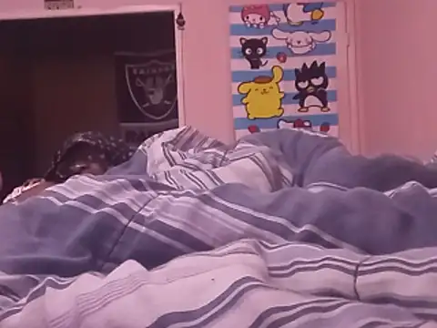 Blkstylion webcam
