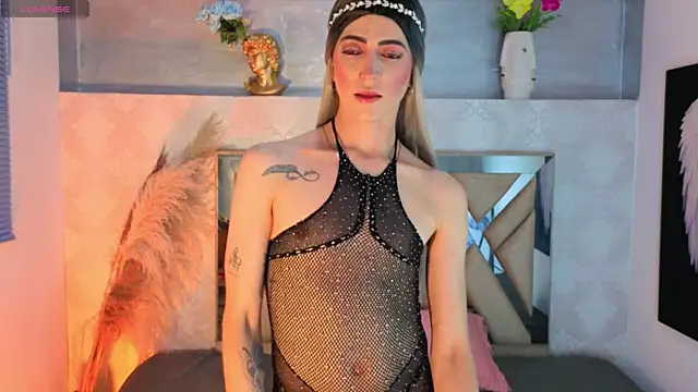 dominic_thailor webcam